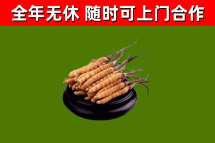 东兰烟酒回收冬虫夏草.jpg